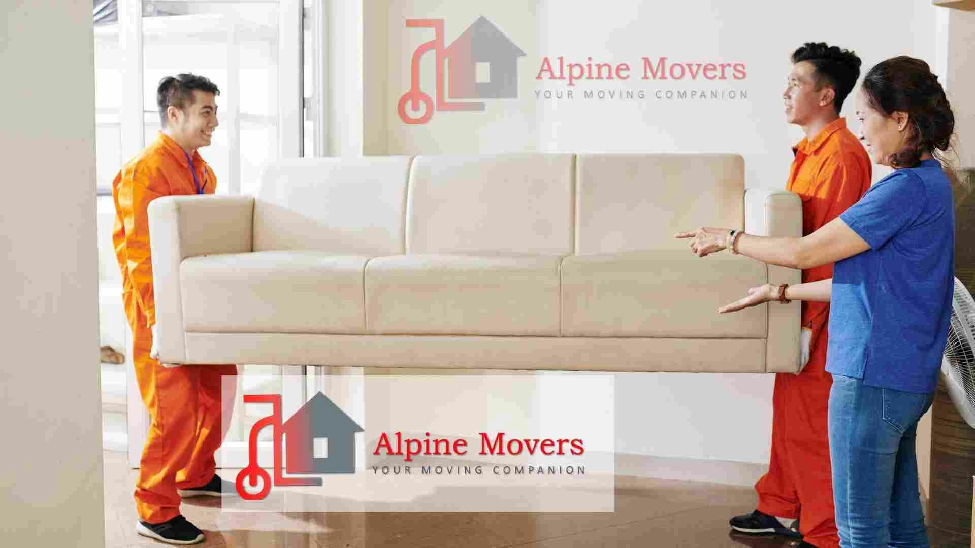 Movers y Packers en Sharjah media 1