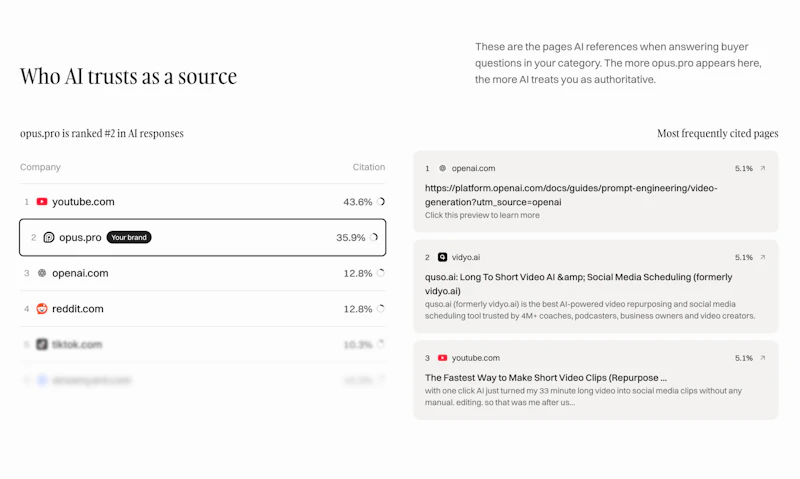 Cloviana Free AI Visibility Audit screenshot 3