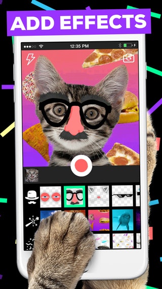 Giphy Cam 2.0 gallery image