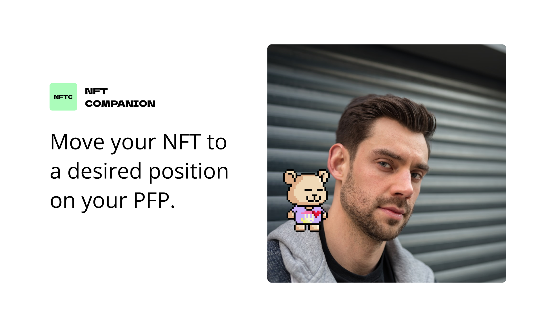 NFT Companion gallery image