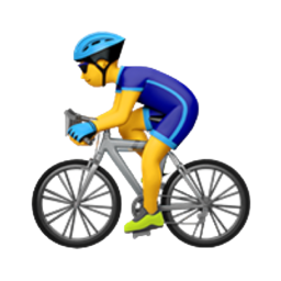 Kanikopdefietsnaarwerk?