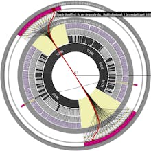 SirixDB (Open Source) - A Time Machine For Your Data gallery image