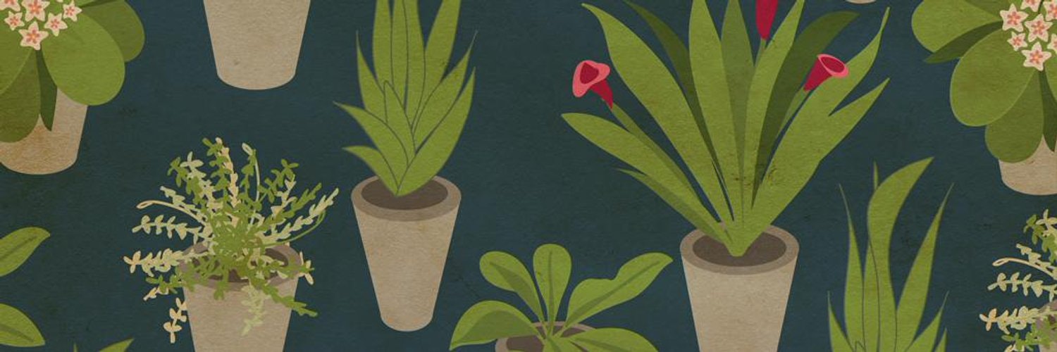 ProductHunt banner for @molars