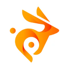 bunny.net