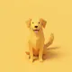 Tails.io