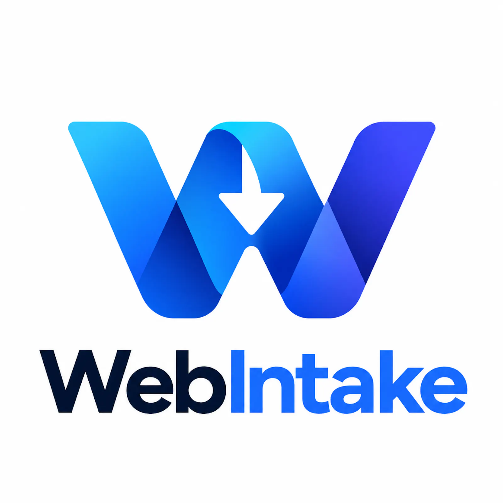 WebIntake screenshot 3
