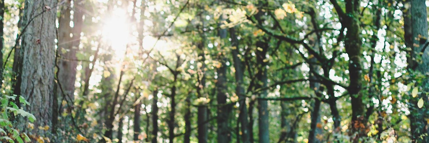 ProductHunt banner for @avi