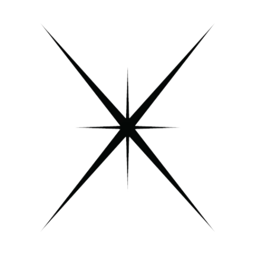 NapX logo