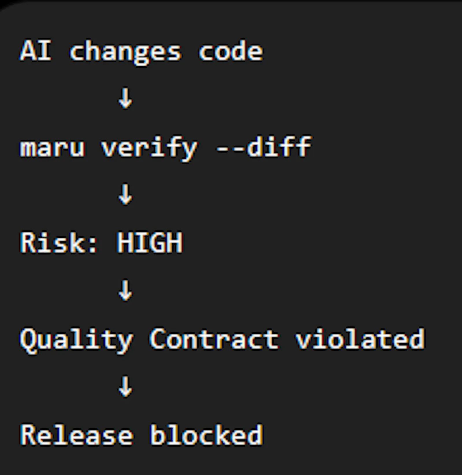 MaruCheck screenshot 3