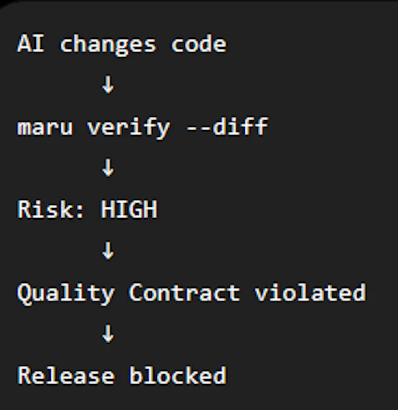MaruCheck screenshot 3