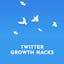 Twitter Growth Hacks