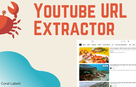 Extractor de URL de YouTube - Extraer URL y datos de video de la lista de reproducción o los resultados de la búsqueda media 3