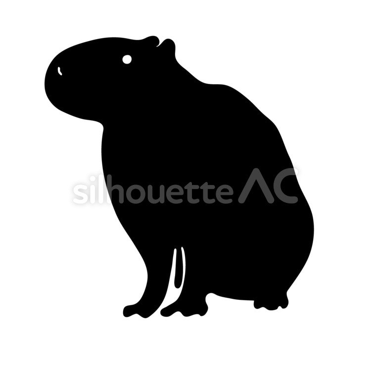 CapyBars gallery image