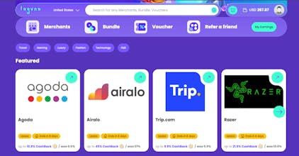 Laguna Network gallery image