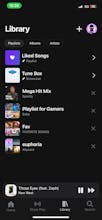 Music Streaming gallery image