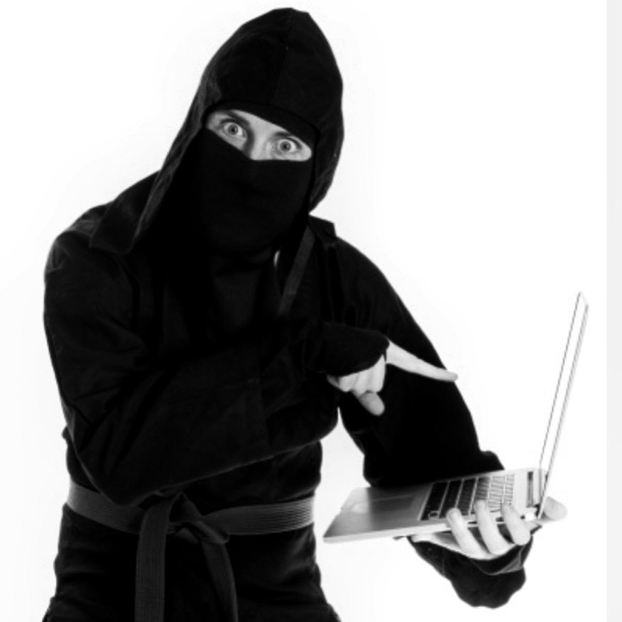 Free Promo Ninja gallery image