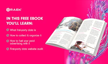 First Party Data EBook & Data Audit gallery image
