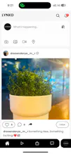 LYNKD gallery image
