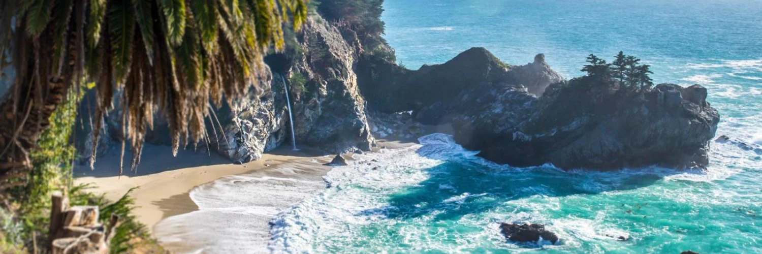 Michele Zamparo cover