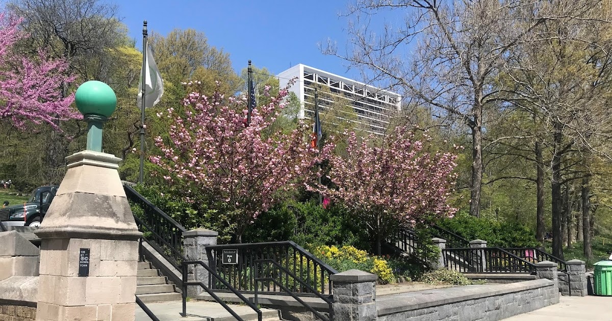 hedonesiano gallery image