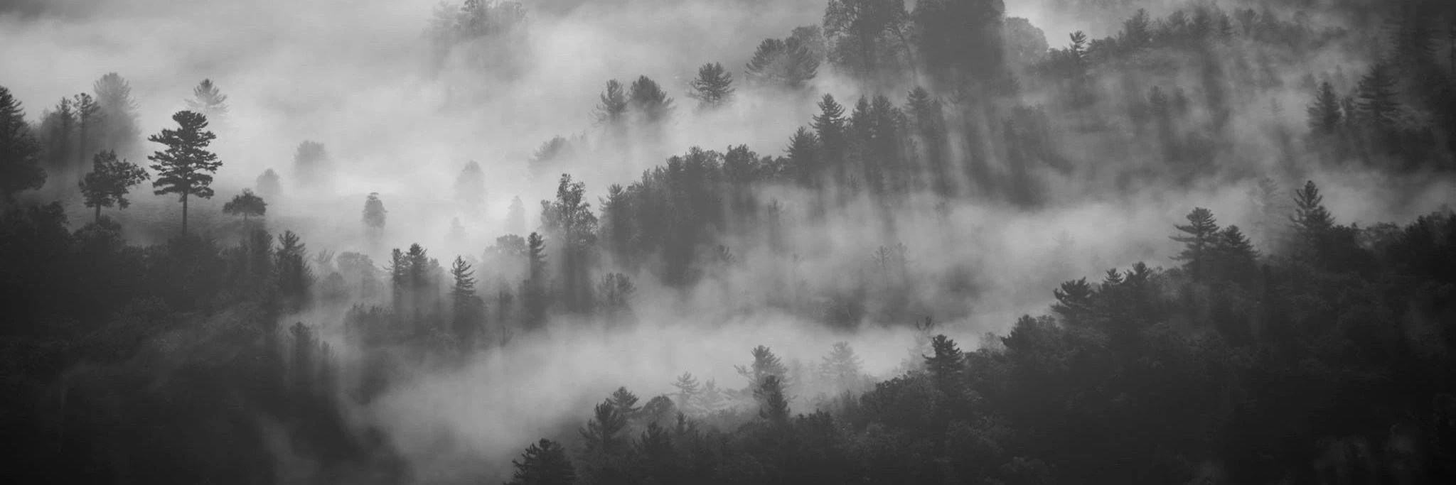 Orçun İlbeyli cover