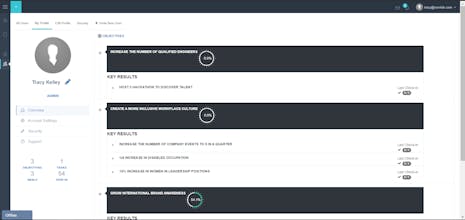 Corvisio OKR gallery image