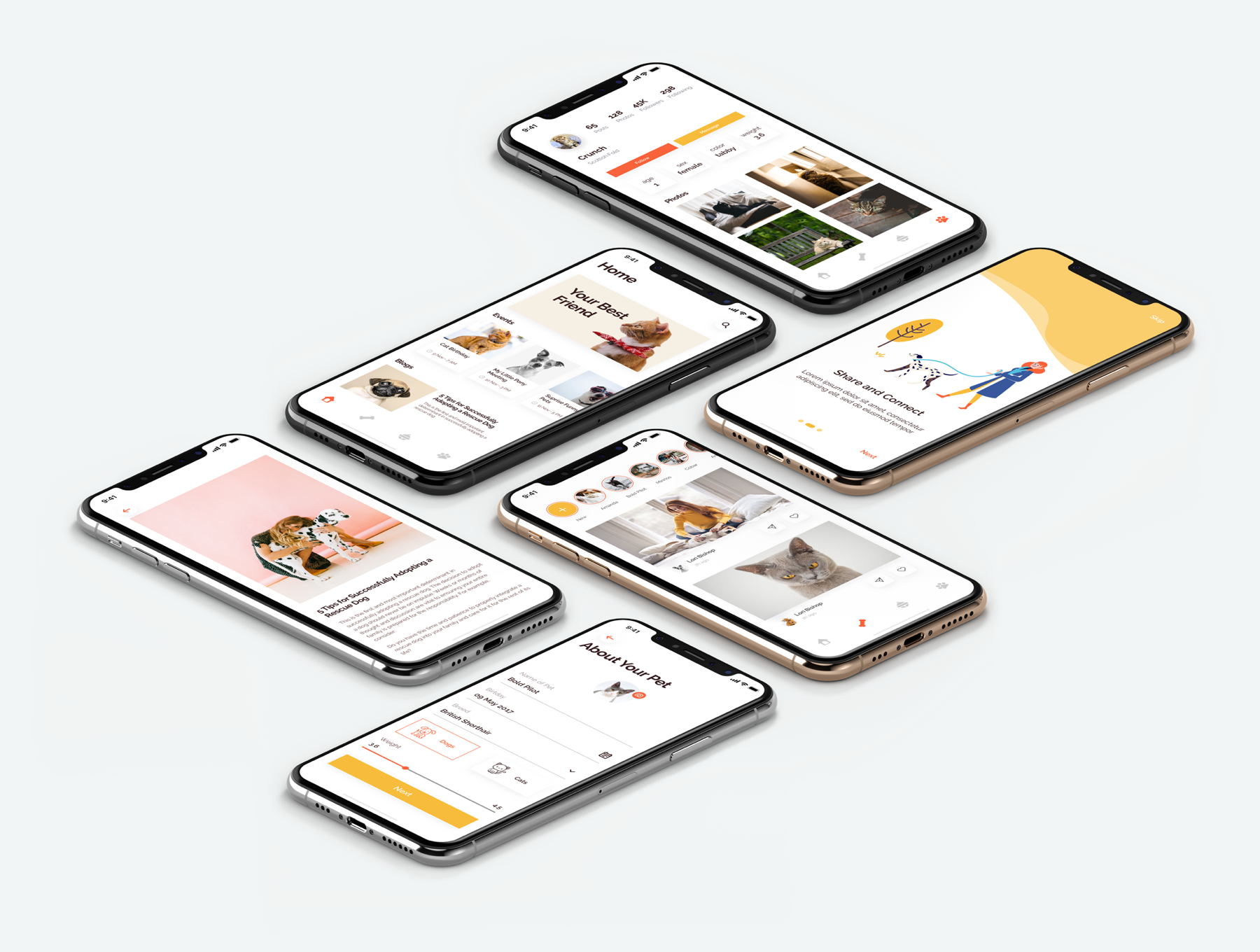 Social Pets App UI Kits gallery image