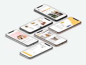 Social Pets App UI Kits gallery image