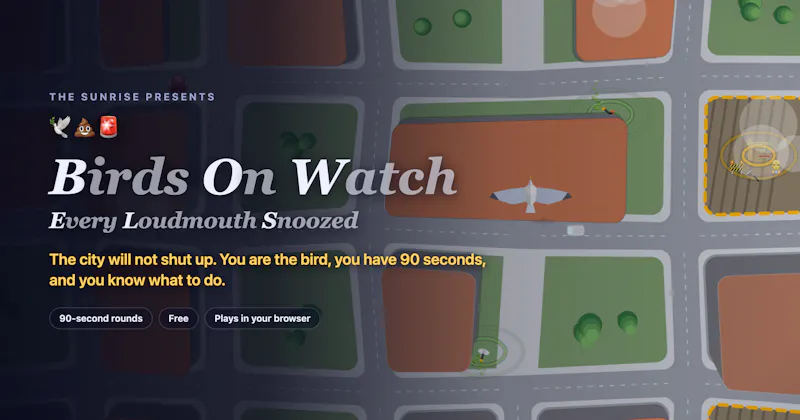 Birds on Watch screenshot 2