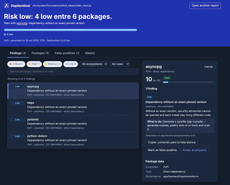 DepSentinel screenshot 2