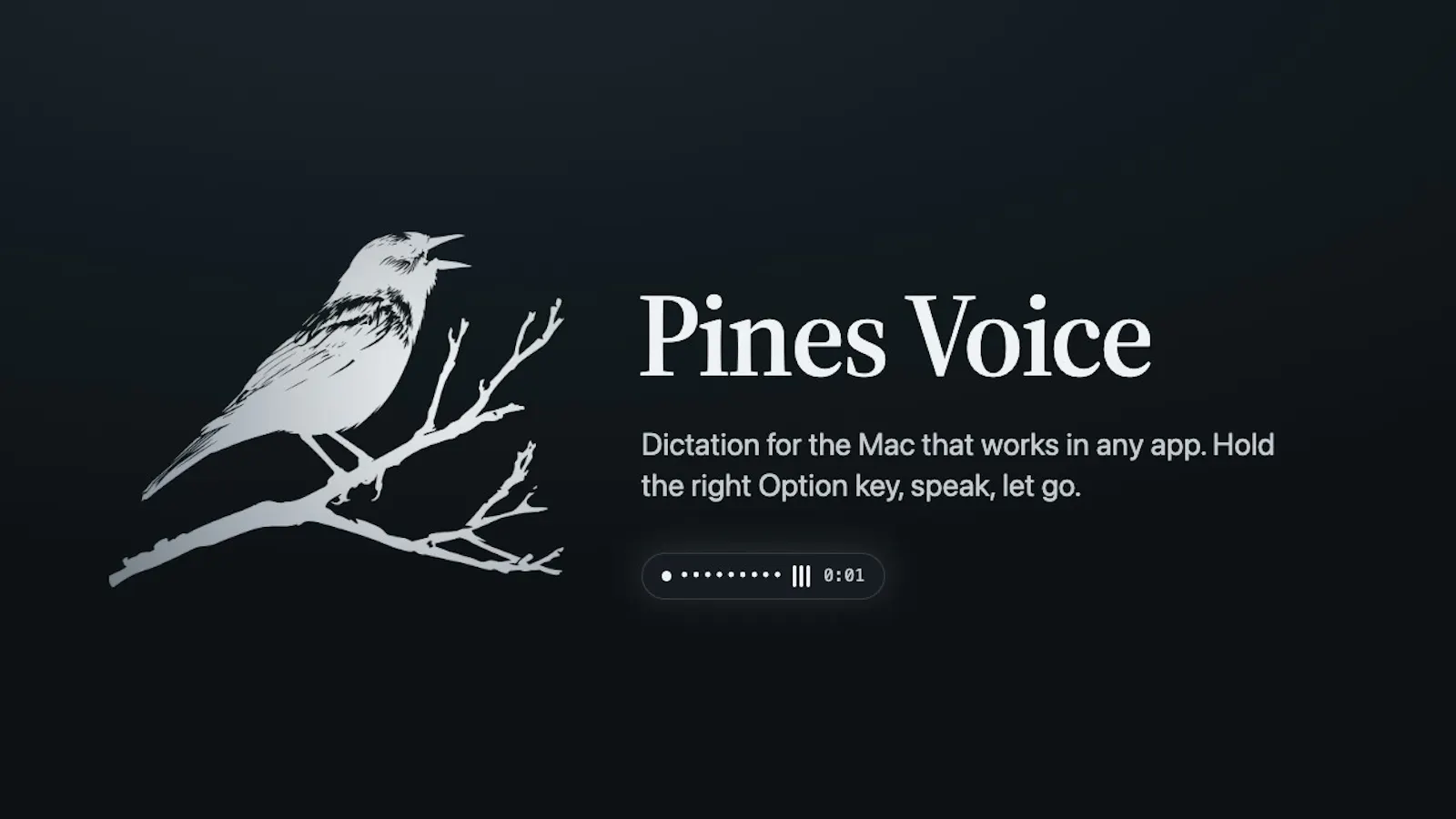 Pines Voice screenshot 1 (video preview)