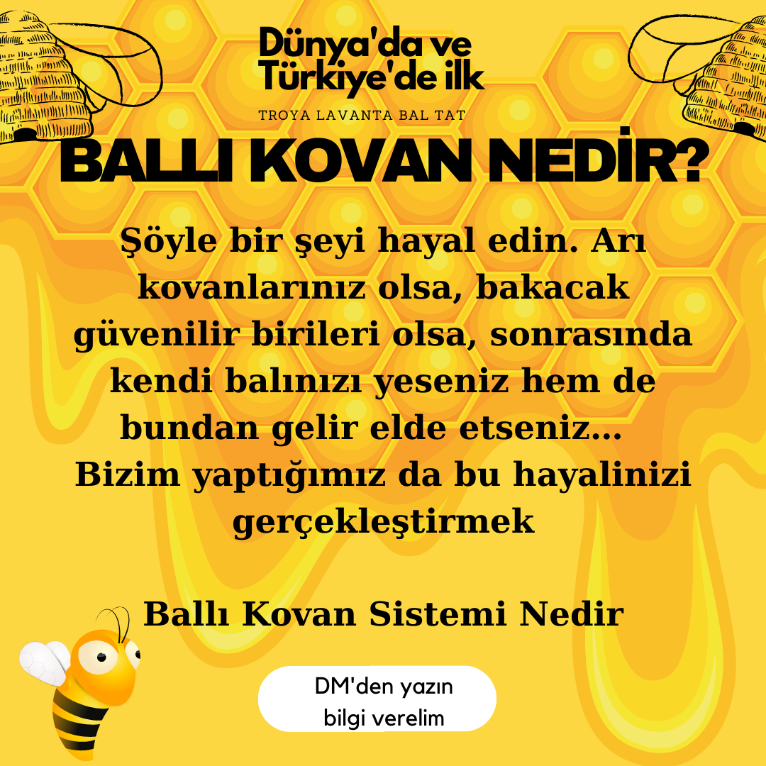 Media Honey Hive.Pengurusan sarang.Makan madu anda - Adakah anda ingin makan madu anda sendiri?Kami melihat sarang anda. 5