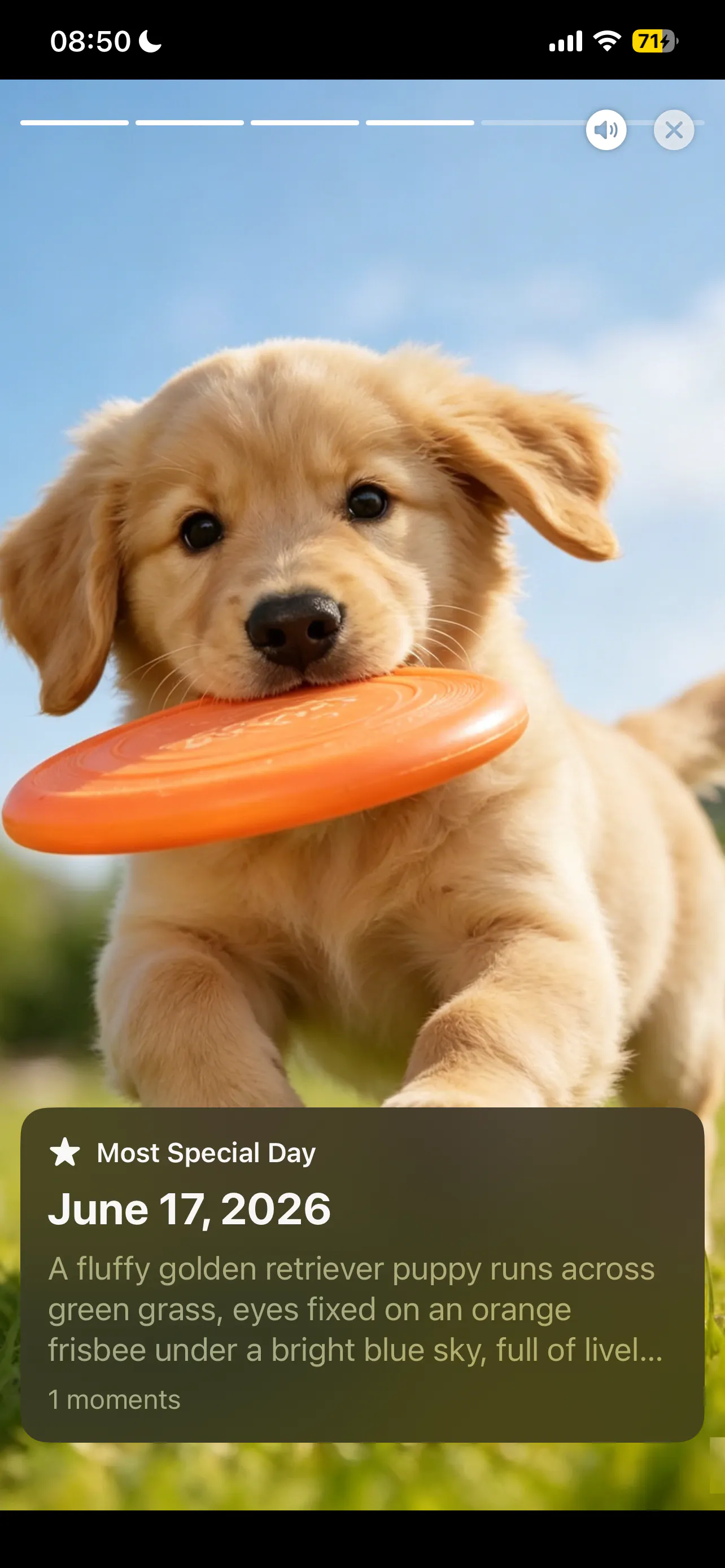 Fur Baby Companion 2.0 — AI Edition gallery image