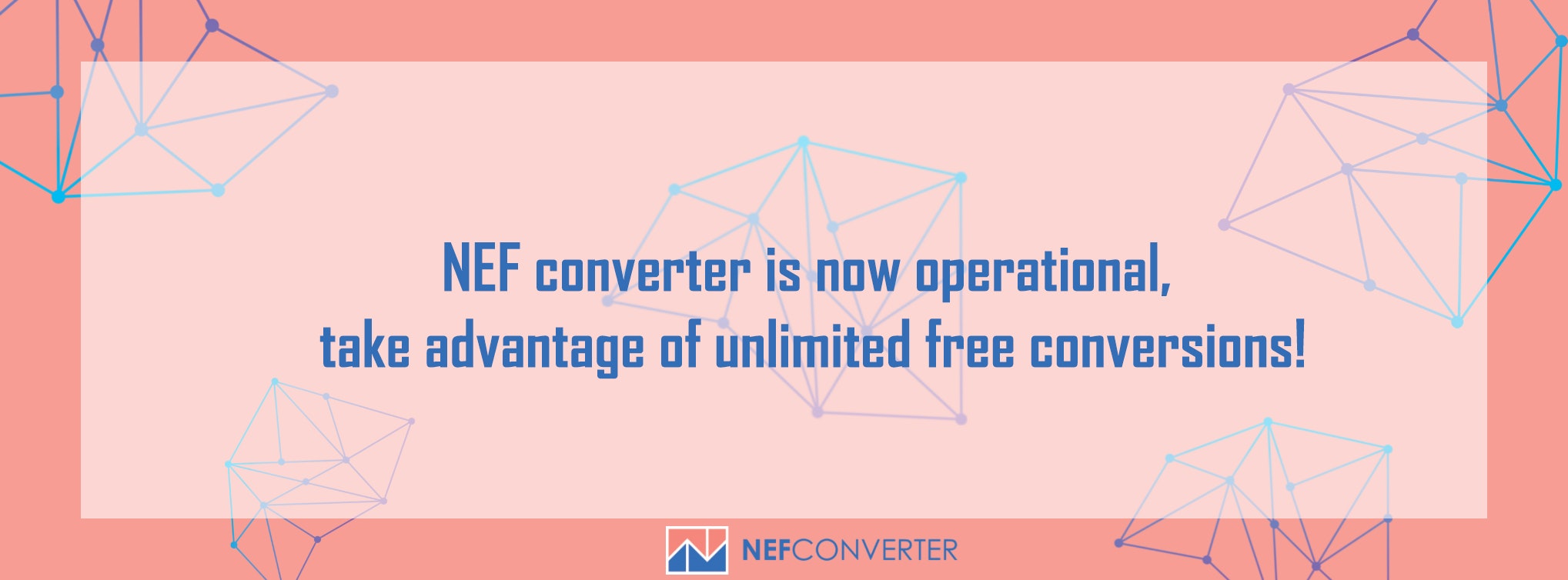 NEF converter gallery image