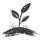 Sproutful