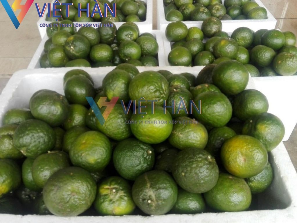Thùng xốp Việt Hàn media 1