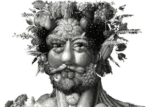 TOF® biosphere gallery image