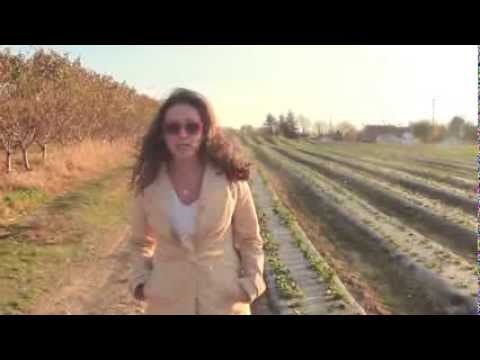 Greenease gallery image