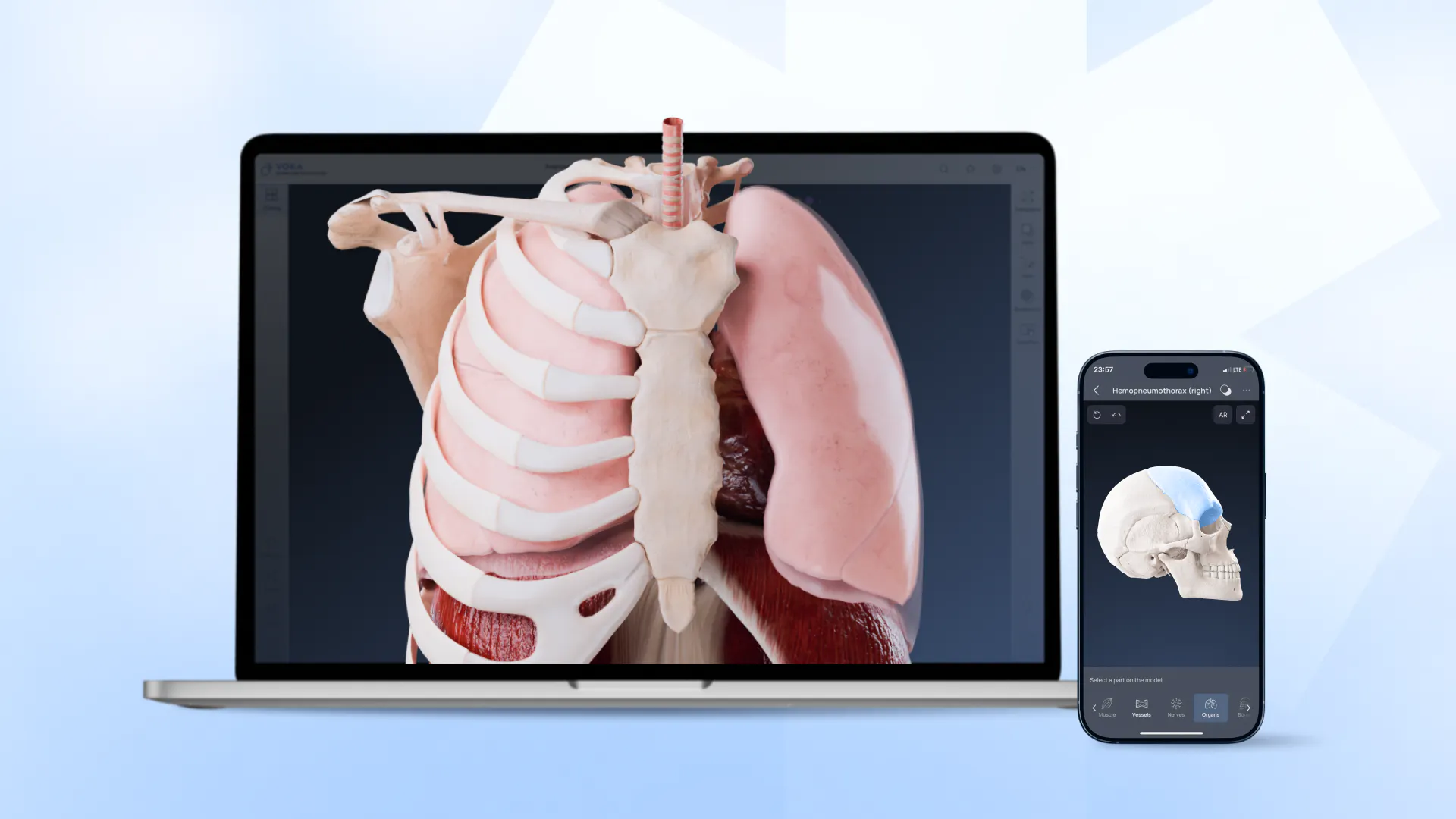 VOKA Anatomy Pro gallery image