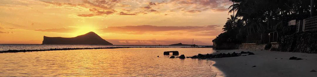 Shaun Trennery cover