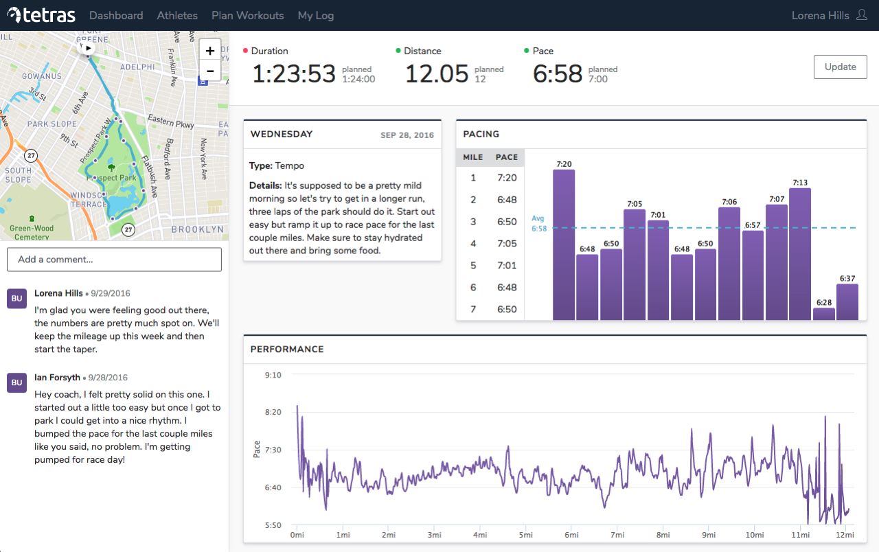 Tetras gallery image