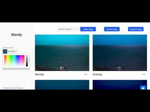 Blendy gallery image