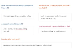 Mindful Productivity Notion Journal gallery image