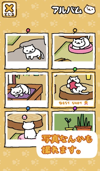 Cat Gathered gallery image