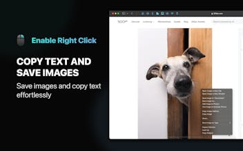 Enable Right Click for Safari gallery image