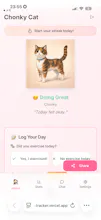 Chonky Cat gallery image