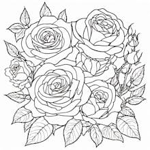 AI Coloring Book Generator gallery image