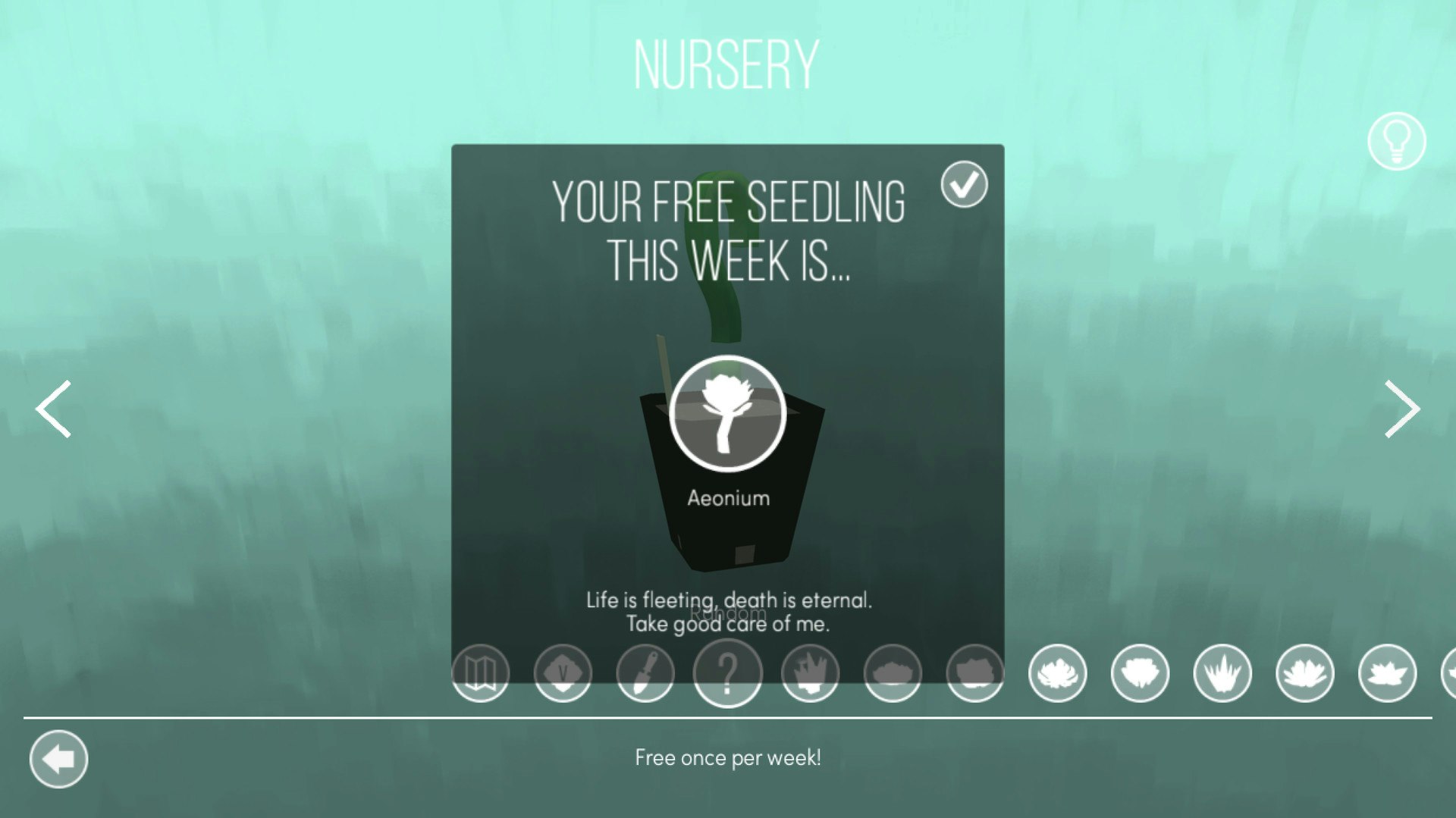 Viridi gallery image