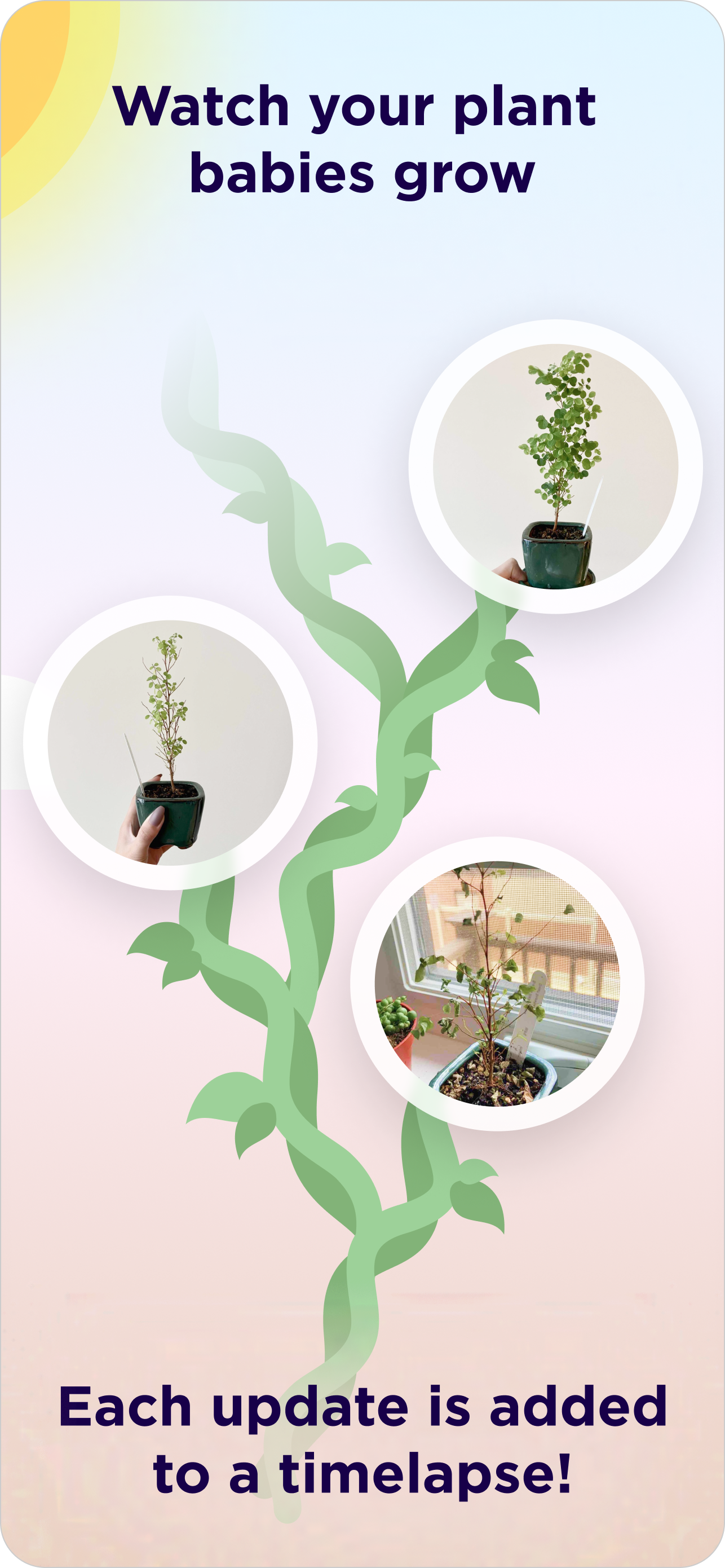 Prōpa gallery image