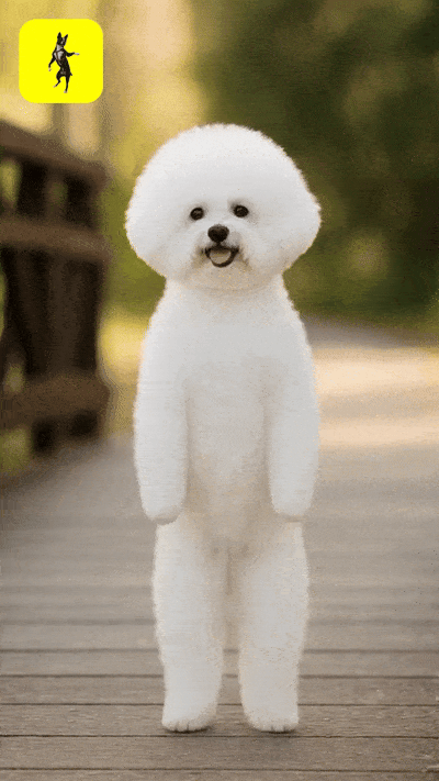 Dancing Dogs app - Turn dog pics into dancing dog videos via AI (hover icon 🤣) media 6